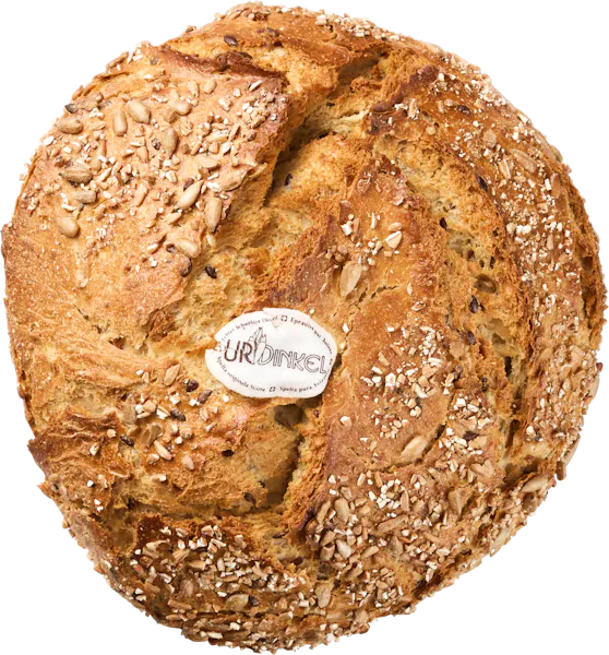 Pane di spelta pura