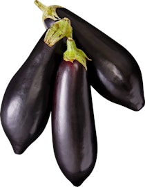Auberginen Auberginen