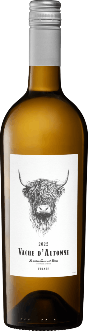 Vache d'Automne Viognier Pays d'Oc IGP - 6 Flaschen à 75 cl | Denner  Weinshop