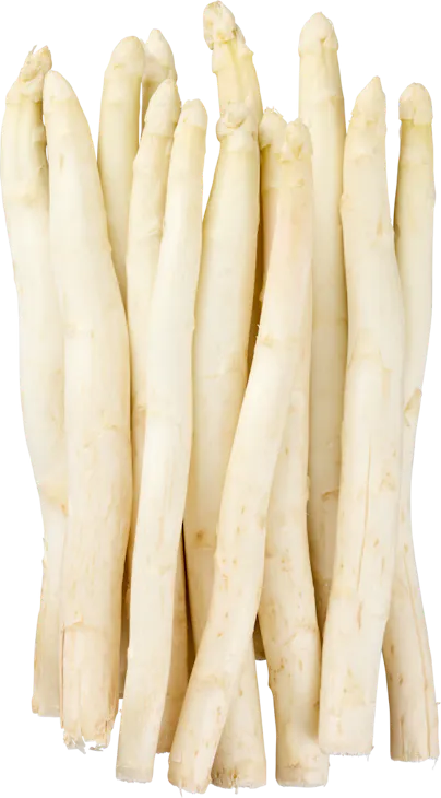 Spargeln weiss