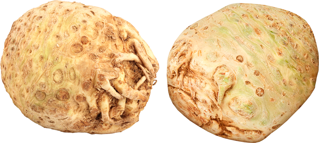 IP-SUISSE Knollensellerie