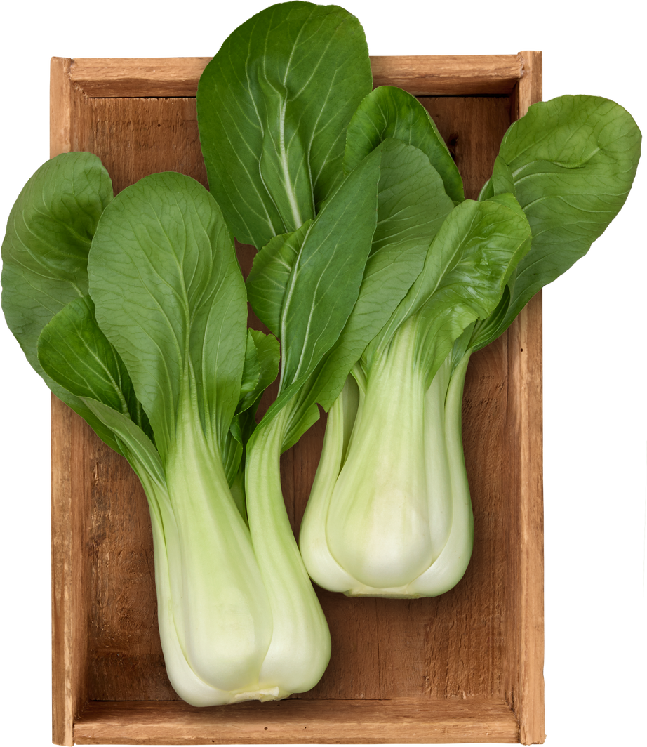 Pak Choi