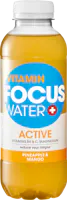 Focuswater Active Ananas & Mangue