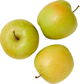 Pommes Gala