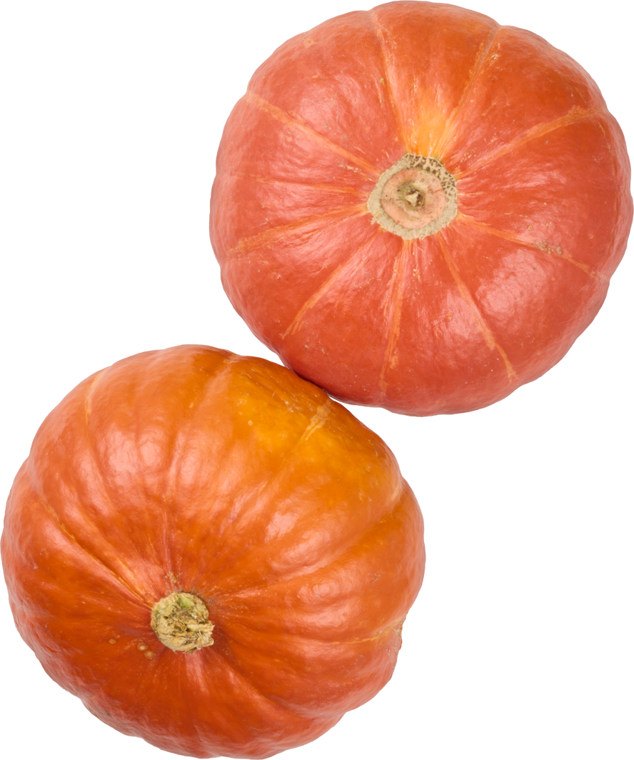 IP-SUISSE Kürbis Hokkaido