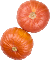 Courge Hokkaido IP-SUISSE