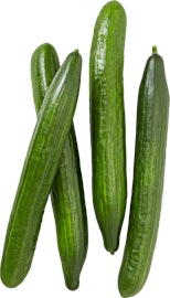 Gurke Gurke