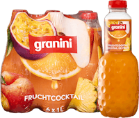 Cocktail de fruits Granini