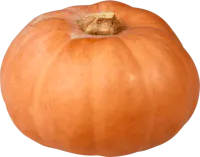 IP-Suisse Kürbis Butterkin ca.1