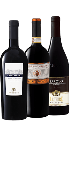 Top of Italy Tasting Box 3x2x75cl Vorderseite