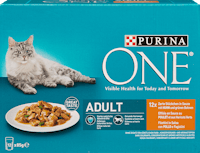 Purina ONE Adult Katzenfutter Zarte Stückchen in Sauce