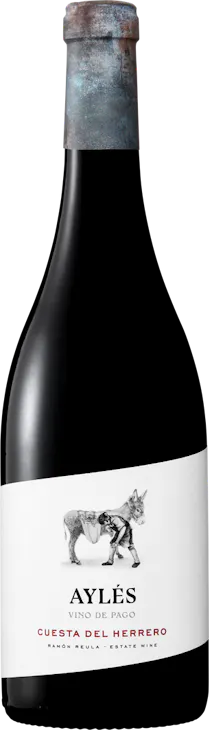 Bio Aylés Cuesta del Herrero Viñas Viejas DOP