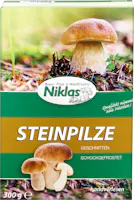 Niklas Steinpilze