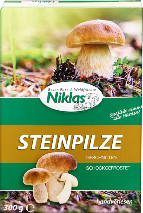 Niklas Steinpilze