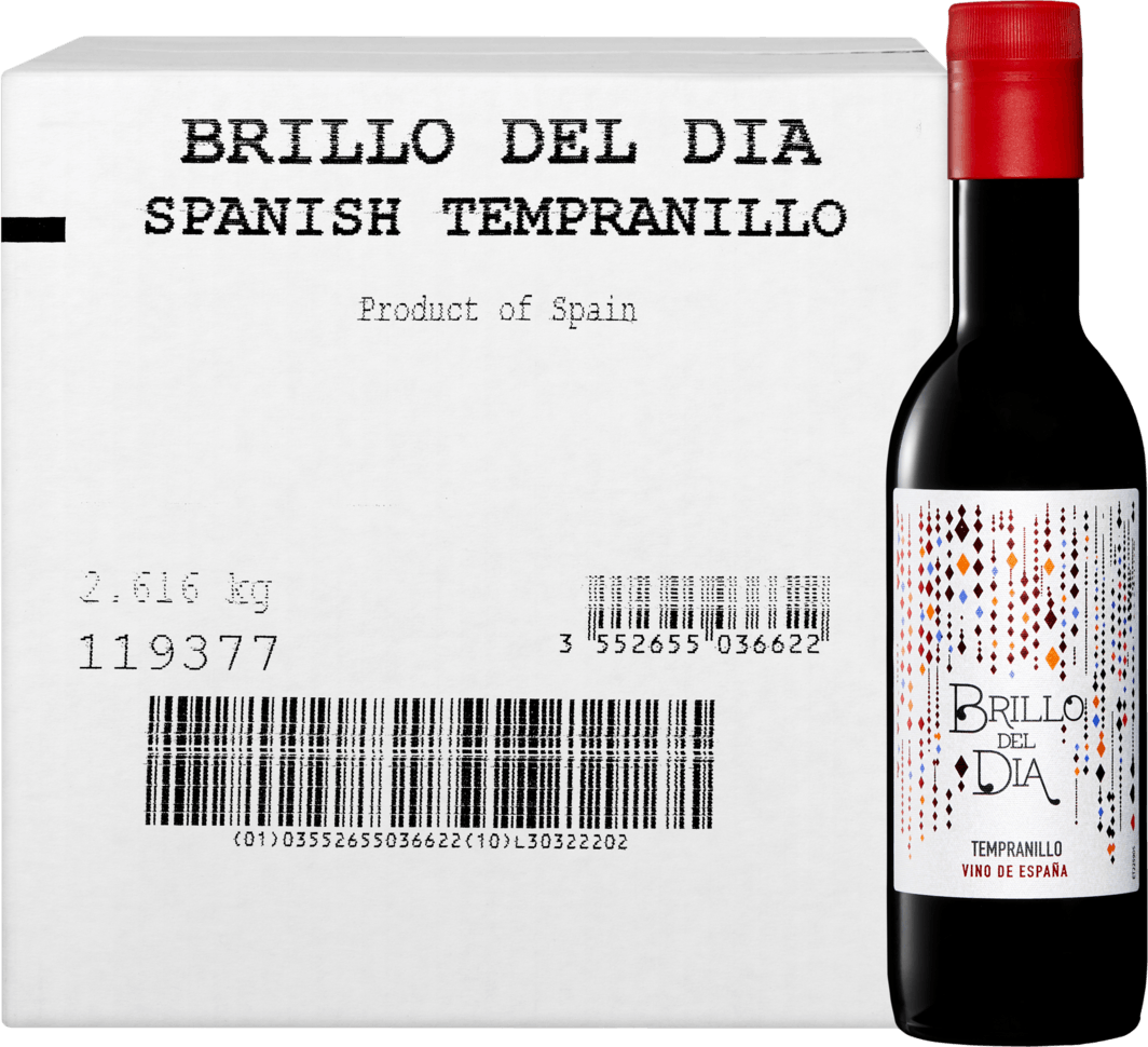 Brillo del Dia Tempranillo Vin d'Espagne PET  (Andere)