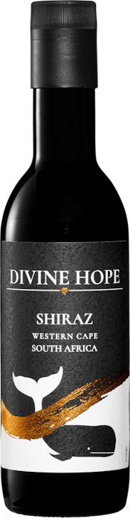 Divine Hope Shiraz Western Cape PET