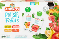 Andros Kompott Plaisir de Fruits
