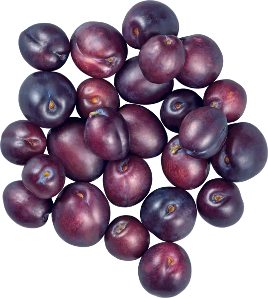 Susine damaschine
