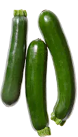 Zucchine IP-SUISSE