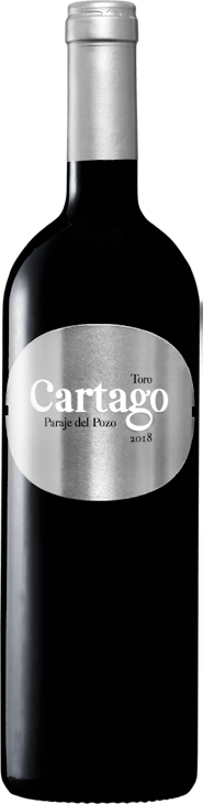 Cartago de San Roman Toro DO