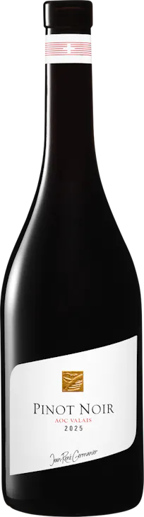 Domaine Jean René Germanier Pinot Noir AOC Valais