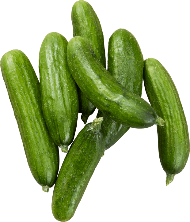 Cetriolini snack bio