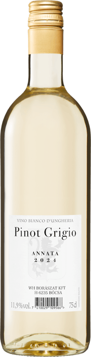 Monte del Castello Pinot Grigio Vino da Tavola