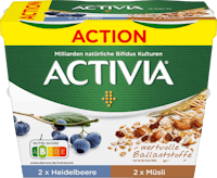 Yogurt Activia Danone