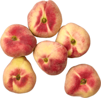 Pesche piatte