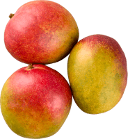 Mangue