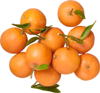 Clementinen 