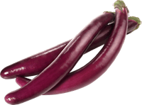 Aubergines allongées