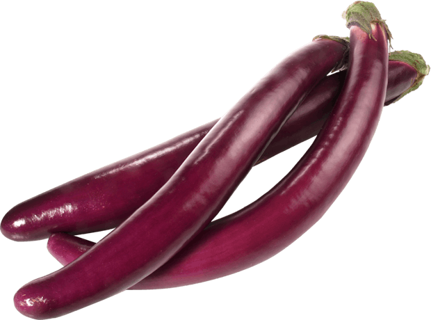 Aubergines allongées